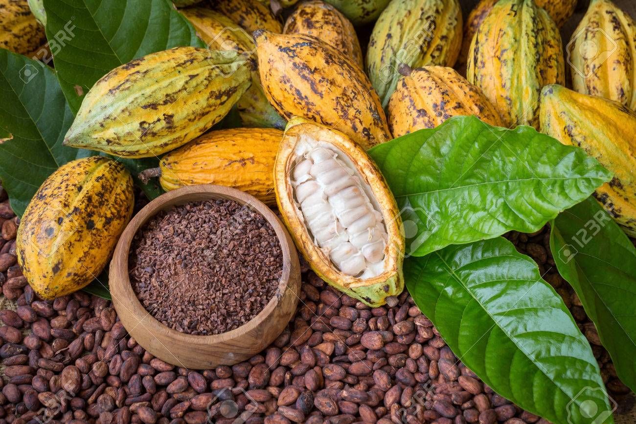 European demand for specialty cocoa is growing